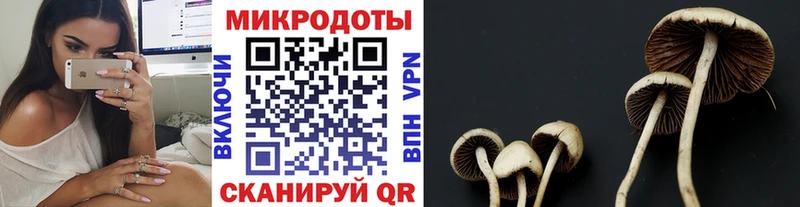купить наркотики сайты  Карабаново  shop формула  Псилоцибиновые грибы прущие грибы 